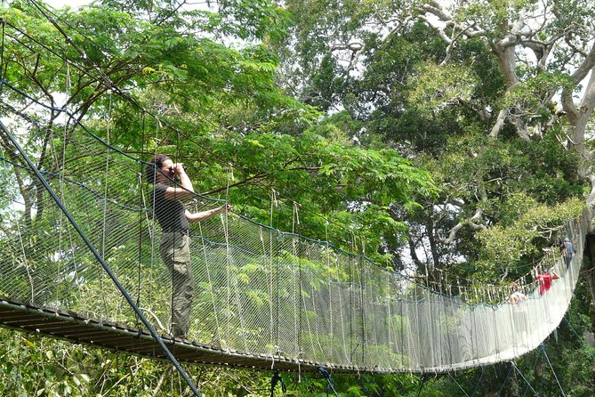 Eco Jungle - 3 Days / 2 Nights - Tips for a Great Trip