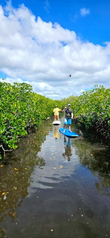 Eco River Adventure - Accessibility and Skill Level