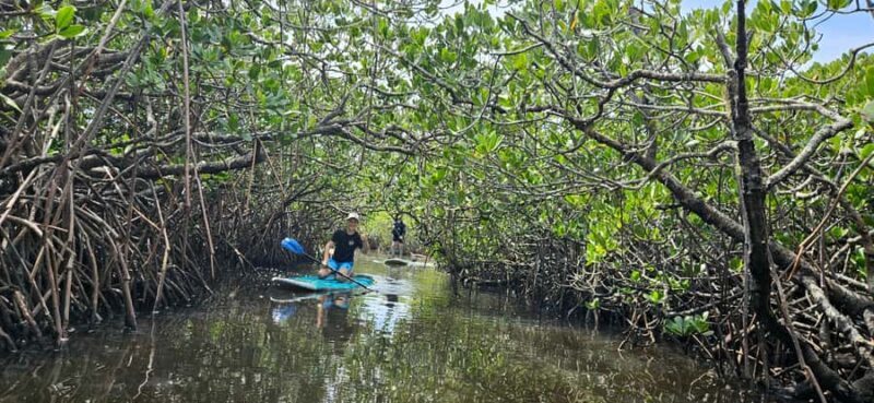 Eco River Adventure - Comparison to Similar Experiences