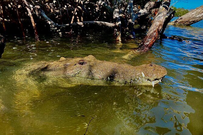 Eco Safari through the Ria Lagartos Natural Park - A Detailed Look at the Eco Safari Experience