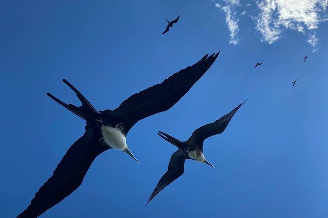 Eco Safari through the Ria Lagartos Natural Park - The Sum Up