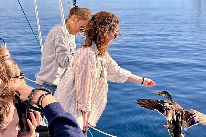 Eco Sailing Tour to Maori Rock Carvings on Lake Taupo - Final Thoughts: Is It Worth It?  