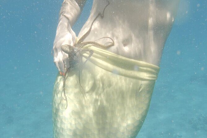 Eco Sea Scooter Beach Entry - Rent a GoPro Video tape Sea Turtles - Frequently Asked Questions