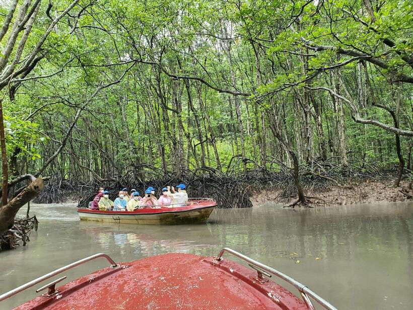 ECO TOUR FROM HO CHI MINH: CAN GIO MANGROVE FOREST - Key Points