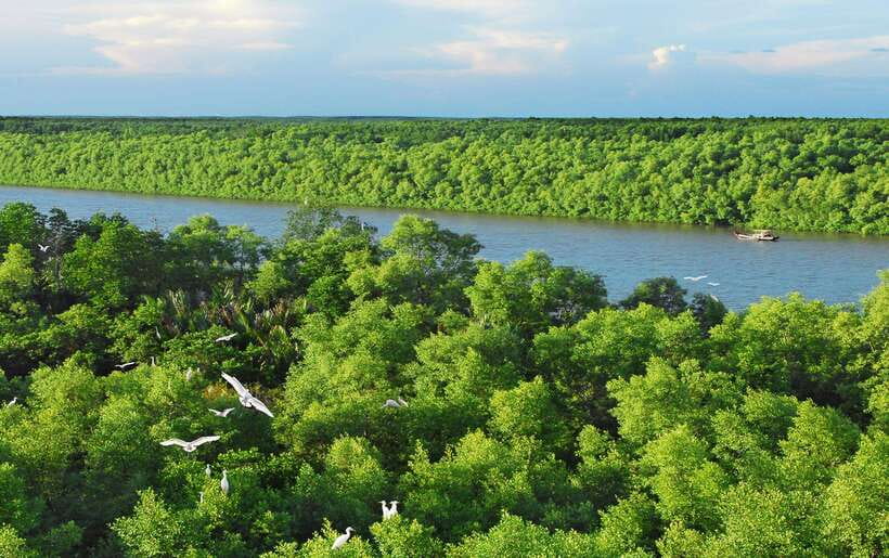 ECO TOUR FROM HO CHI MINH: CAN GIO MANGROVE FOREST - Itinerary Details