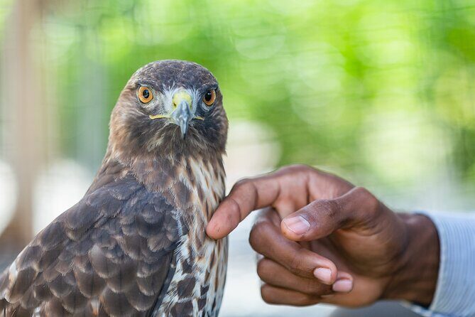 Eco Tour in the Cenotes Indigenous Eyes in Punta Cana - FAQs