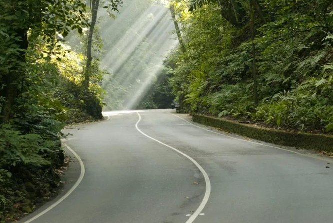 Eco-Tour (Konoko Falls & Fern Gully- From Ocho Rios - Health and Safety Considerations
