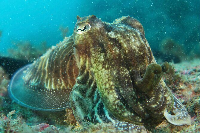 Eco - Try Dive - The Sum Up