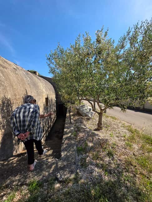 Eco tuk tuk Highlights of Zadar - Value and Considerations