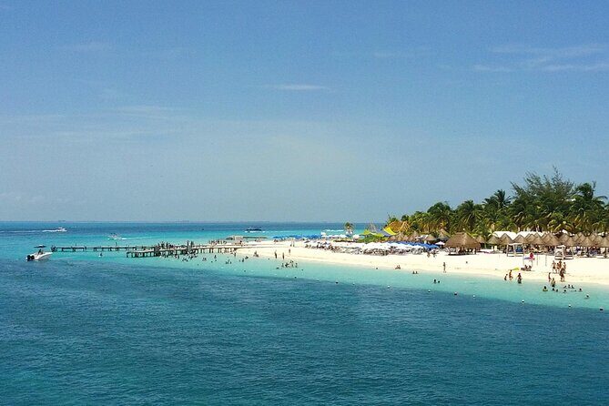 Eco Whale Shark Encounter - A Closer Look at the Itinerary and Experience