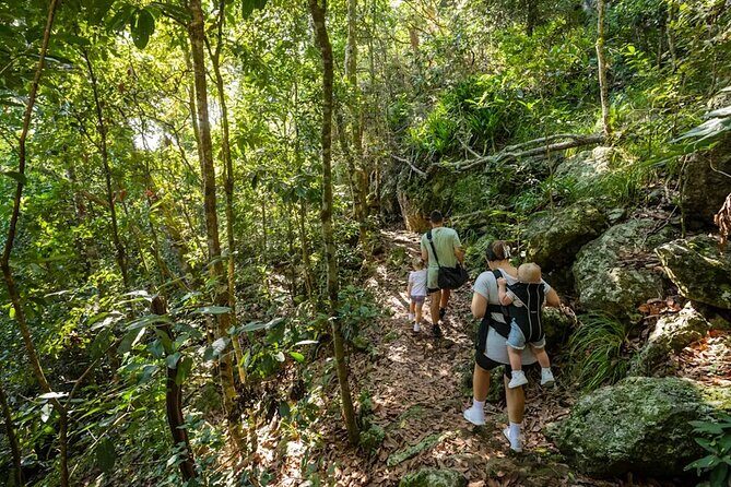 Eco Wildlife Two-Day Tour  Platypus & Kangaroos - In Summary