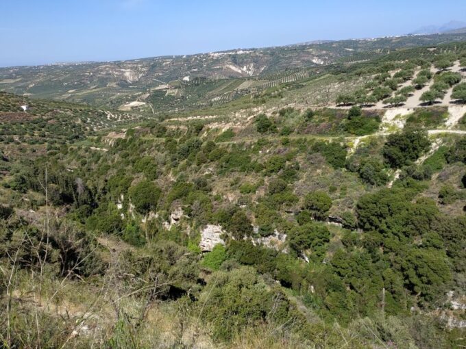 Ecobike: Food Tasting - Discover Cretan Cuisine & Villages - Live English-speaking Tour Guide