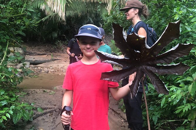 Ecohike Experience Through the Jungle, Mountains and Hidden Beach - Knowledgeable Guides