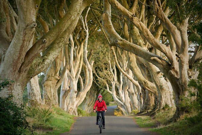 Economy Transfer from Dublin Airport to Belfast - Pricing and Value