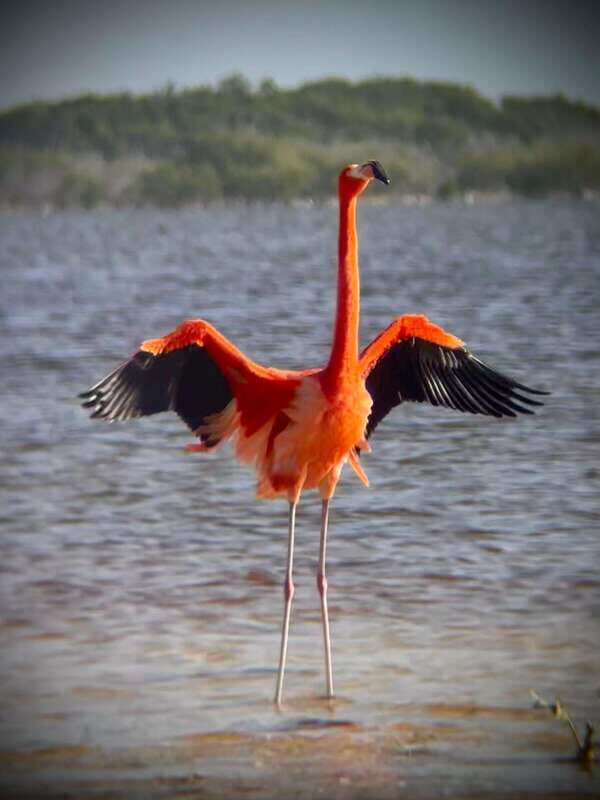 ECOSAFARI - Relaxing at the Beach
