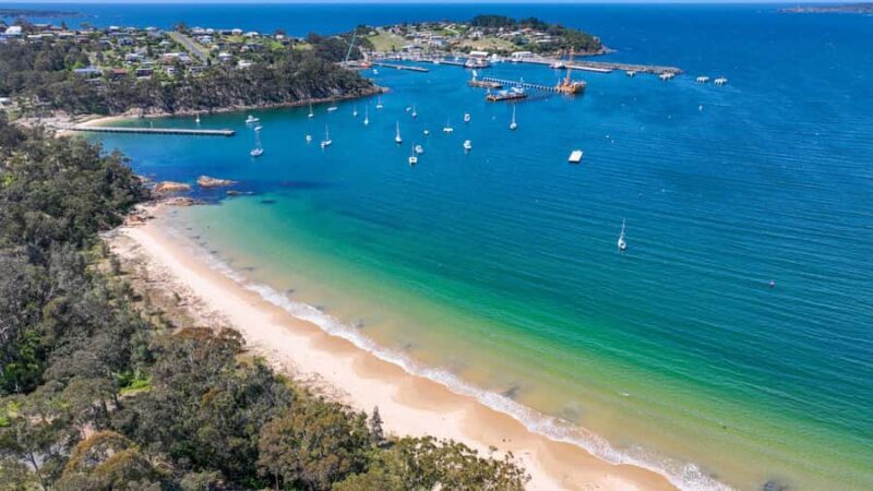 Eden: 2-Hour Highlights Tour, Nature, Beaches and Lookouts - The Guide and Guest Experience