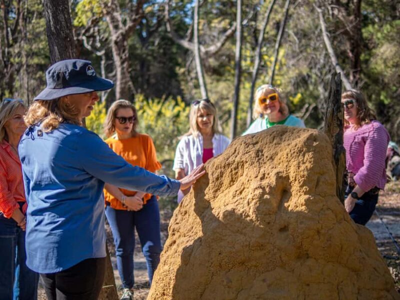 Eden: 2-Hour Highlights Tour, Nature, Beaches and Lookouts - The Sum Up