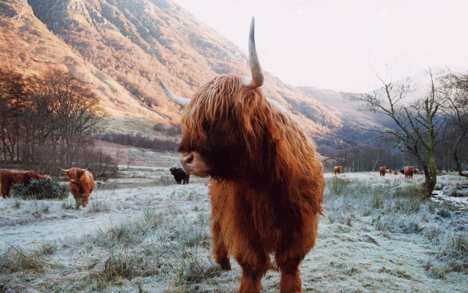 Edinburgh: 18-39s 3-Day Tour of Scottish Highlands & Skye - A Practical Overview of the Tour