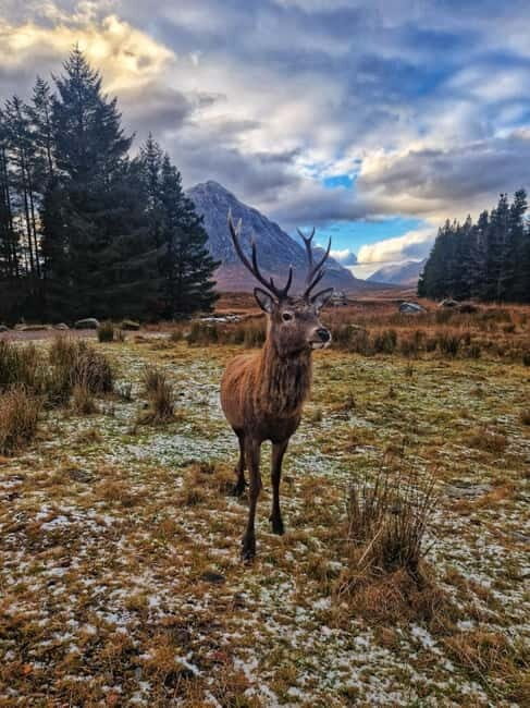 Edinburgh: 3-Day Isle of Skye & Highlands Guided Tour - Key Points  