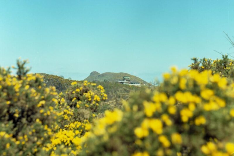 Edinburgh: Arthur's Seat Hike with Mountain Guide - What Past Participants Say