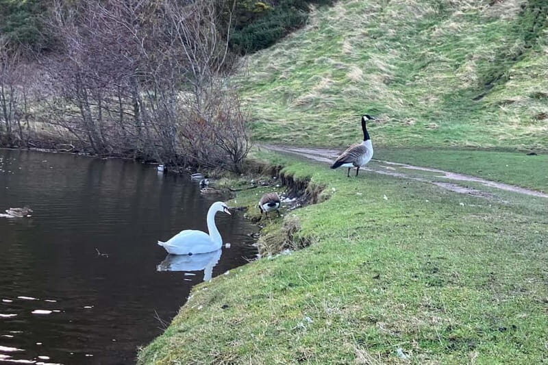 Edinburgh: Calton Hill & Arthur's Seat Hike - Final Thoughts