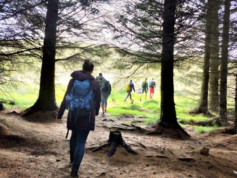 Edinburgh: Hill & Nature Hike With a Local - FAQ