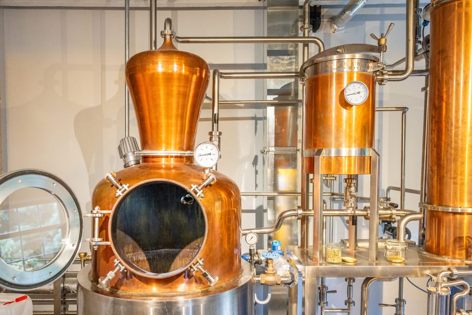 Edinburgh: Holyrood Distillery Whisky & Gin Tour - Who Should Consider This Tour?