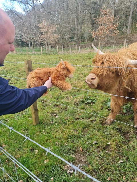 Edinburgh: Loch Ness, Glencoe, Coos & the Highlands Day Tour - Transportation and Group Dynamics