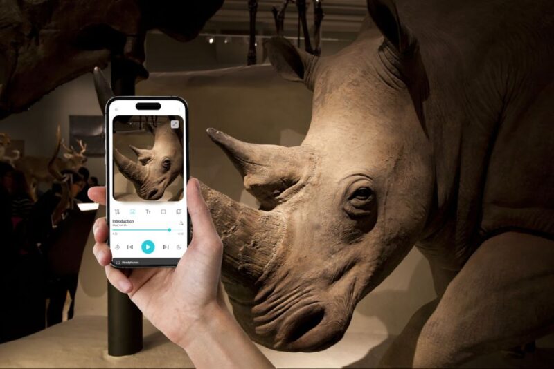 Edinburgh: National Museum of Scotland Phone Audio Tour (EN) - Requirements and Preparation