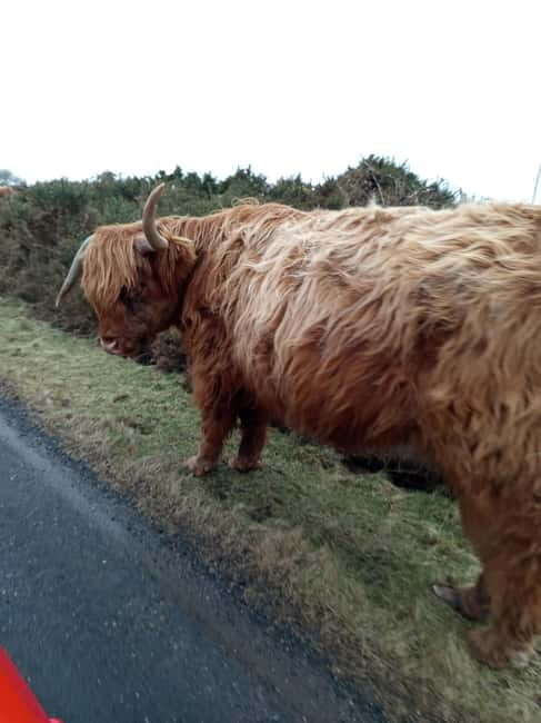 Edinburgh: Stirling, Highlands, Loch Ness, Mull 5-Day Tour - Introduction: Why This Tour Might Be Your Perfect Scottish Escape