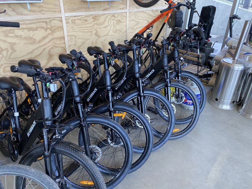 Edmonton: E-Bike Rental With Helmet - Key Points