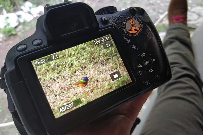 Edzná, the house of the Itzaes - Authentic Experiences and Traveler Feedback