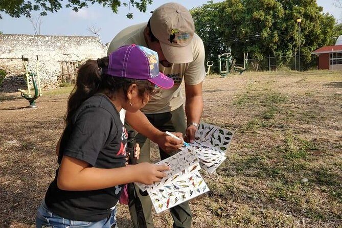 Edzná, the house of the Itzaes - The Sum Up: Is This Tour Right for You?