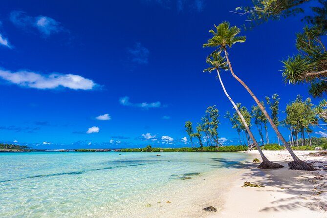 Efate Island Highlights - Exploring Efate Island: A Practical Guide to the Tour