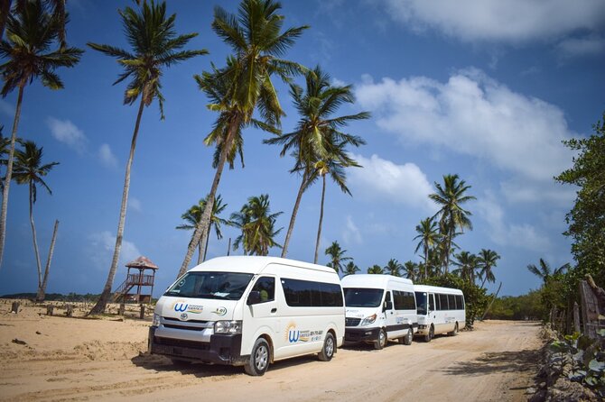 Effortless Airport Transfers in Punta Cana - Good To Know