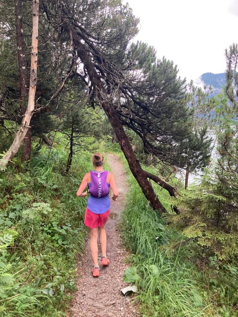 Ehrwald: Nordic Walking Tour - Trail and Scenic Highlights