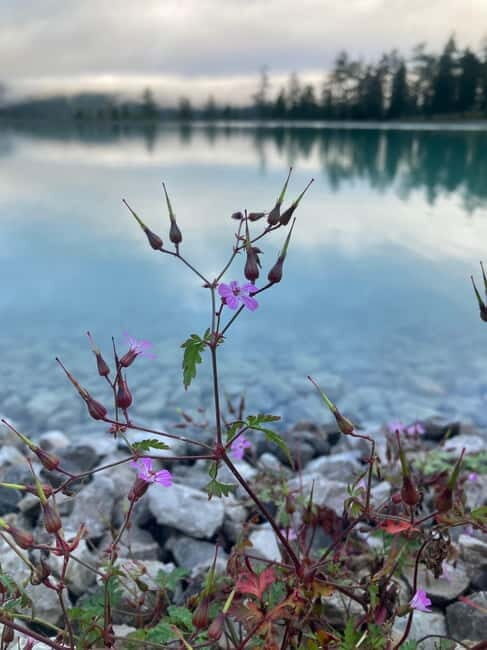 Ehrwald: Time to Relax-Outdoor Yoga in Mountain Scenery - Similar Experiences in the Region