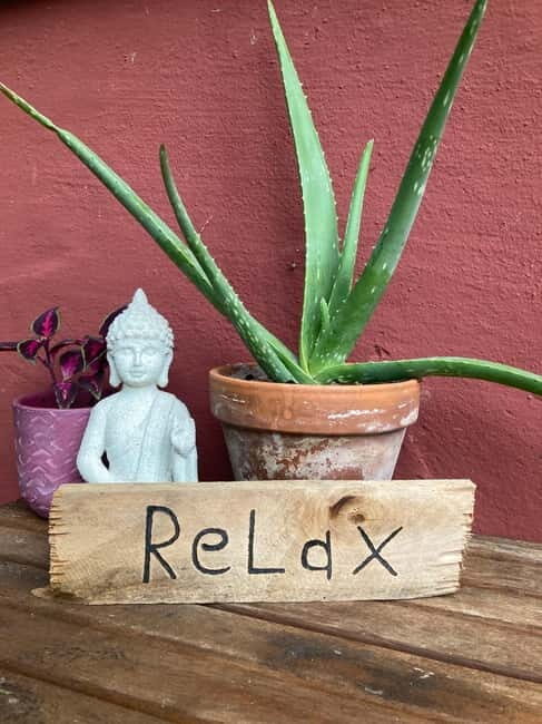 Ehrwald: Time to Relax-Yoga meets Mountain Tour - Key Points