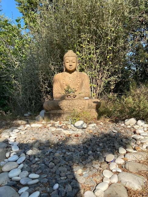 Ehrwald: Time to Relax-Yoga meets Mountain Tour - An Overview of the Experience