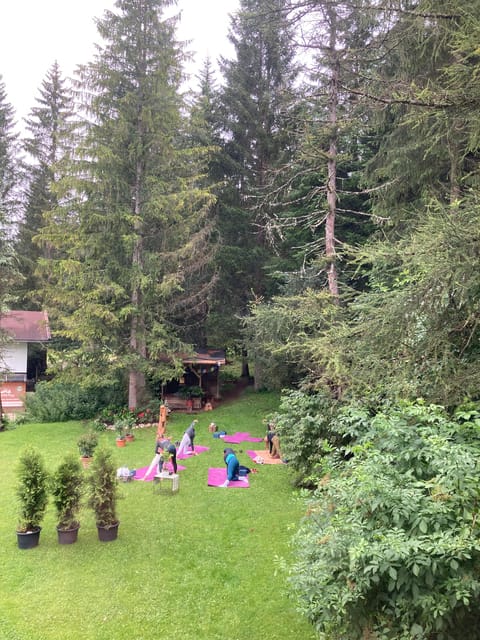 Ehrwald: Time to Relax-Yoga meets Mountain Tour - Key Points