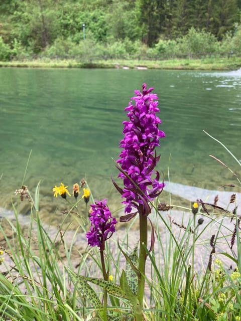 Ehrwald: Trailrunning Tours - Practical Tips for Participants