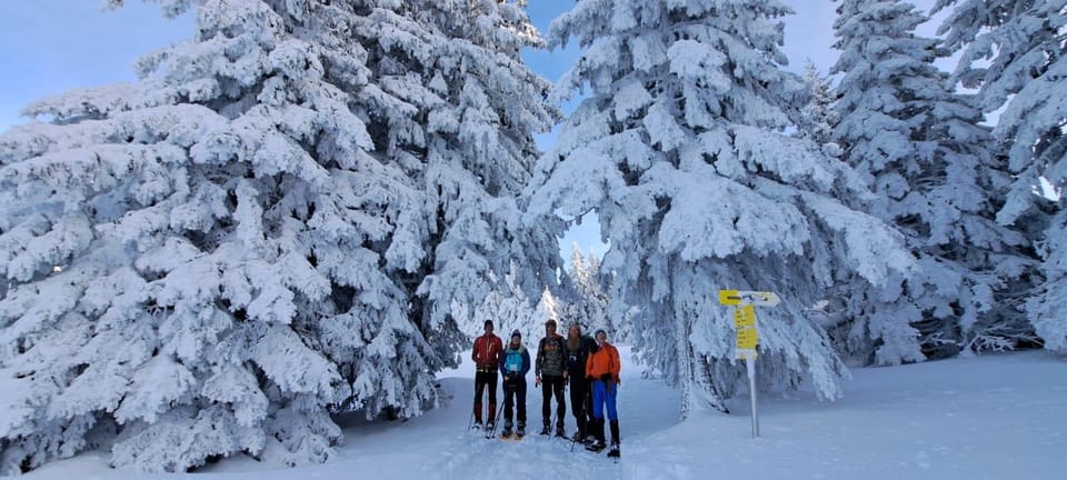 Ehrwald: Zugspitze Snowshoe Hiking Tour with Mountain Views - Key Points
