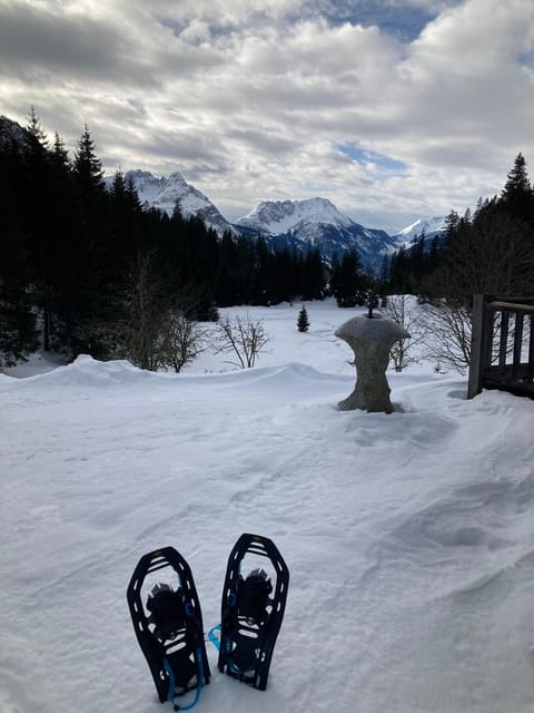 Ehrwald: Zugspitze Snowshoe Hiking Tour with Mountain Views - What to Expect During the Tour