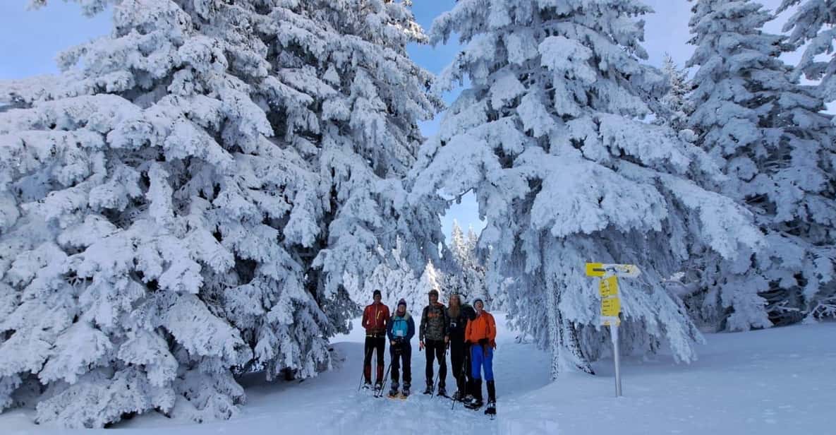 Ehrwald: Zugspitze Snowshoe Hiking Tour with Mountain Views - Authentic Experiences from Travelers