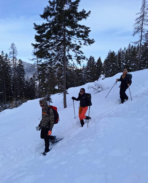 Ehrwald: Zugspitze Snowshoe Hiking Tour with Mountain Views - The Sum Up