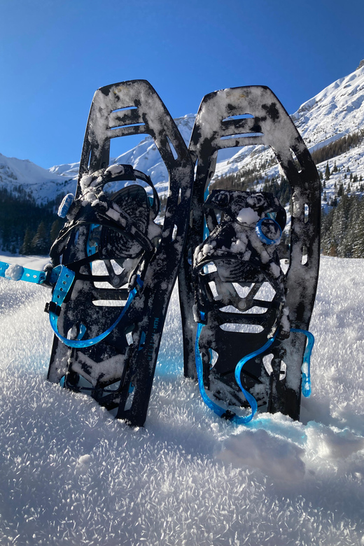 Ehrwald: Zugspitze Snowshoe Hiking Tour with Mountain Views - FAQ