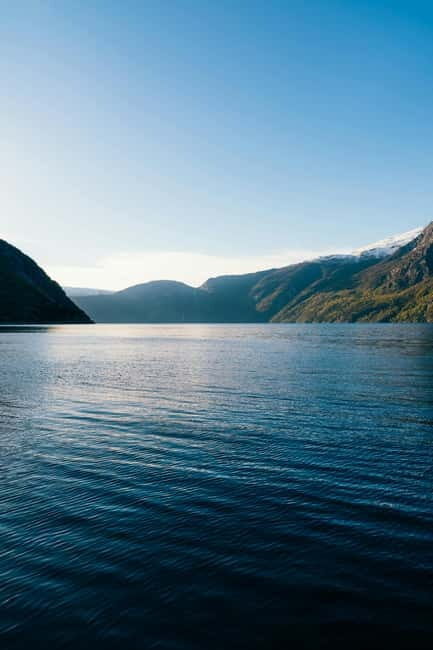 Eidfjord Shore Excursion: The Ultimate Scenic Adventure - Key Points