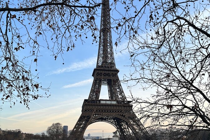 Eiffel Tower Summit Access (Elevator) - Accessibility and Participation