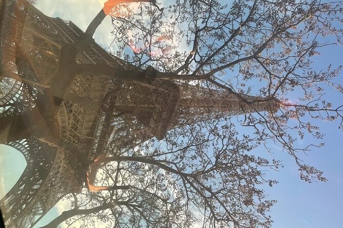 Eiffel Tower Tour by Elevator With Summit or Second Floor Acess - Inclusions and Meeting Details