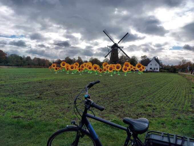 Eindhoven: E-Fatbike Tour the Footsteps of Vincent Van Gogh - Recommendations for a Great Experience